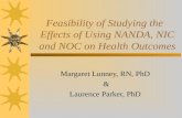 Feasibility of Studying the   Effects of Using NANDA, NIC and NOC on Health Outcomes