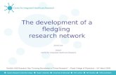 The development of a fledgling  research network