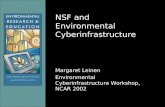 NSF and Environmental Cyberinfrastructure