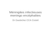 Méningites infectieuses meningo encéphalites