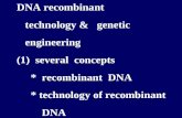 DNA recombinant      technology &   genetic      engineering  (1)  several  concepts