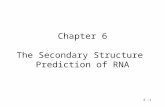 Chapter 6 The Secondary Structure  Prediction of RNA