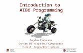 Introduction to  AIBO Programming