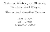 Natural History of Sharks, Skates, and Rays Sharks and Hawaiian Culture MARE 394 Dr. Turner