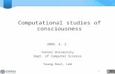 Computational studies of consciousness