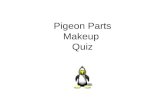 Pigeon Parts Makeup  Quiz