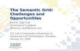 The Semantic Grid: Challenges and Opportunities