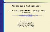 Perceptual Categories:  Old and gradient, young and sparse.
