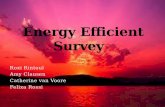 Energy Efficient Survey