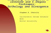 Comparing the Complete  S. cerevisiae  and  C. elegans  Proteomes:  Orthology and Divergence