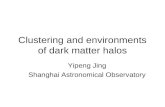 Clustering and environments of dark matter halos