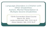 TSHA Convention Short Course March 25, 2010 Leslie Armbruster, MA, CCC-SLP