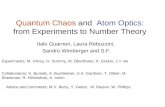 Quantum Chaos  and Atom Optics : from Experiments to Number Theory