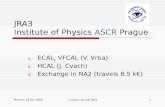JRA3 I nstitute of  P hysics  ASCR Prague