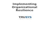 Implementing Organizational Resilience