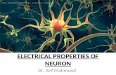 Electrical Properties of Neuron