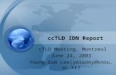 ccTLD IDN Report