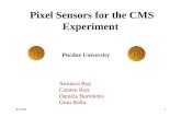 Pixel Sensors for the CMS Experiment