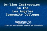 On-line Instruction  in the Los Angeles Community Colleges