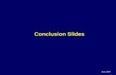 Conclusion Slides