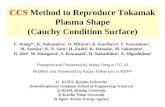 CCS  Method to Reproduce Tokamak Plasma Shape ( C auchy  C ondition  S urface)