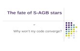 The fate of S-AGB stars