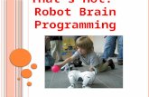 That’s Hot!  Robot Brain Programming