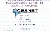 Optically Amplified Multigigabit Links in CESNET2 network