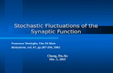 Stochastic Fluctuations of the Synaptic Function