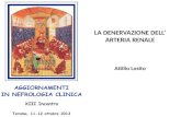 LA DENERVAZIONE DELL’ ARTERIA RENALE Attilio Losito