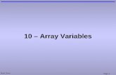 10 – Array Variables