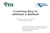Creating Buy-In without a Bailout