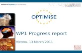 WP1 Progress report Vienna, 13 March 2011