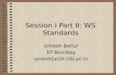 Session I Part II: WS Standards