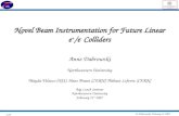 Novel Beam Instrumentation for Future Linear e + /e -  Colliders