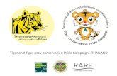 Tiger and Tiger prey conservation Pride Campaign , THAILAND