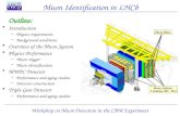Muon Identification in LHCb