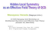 Hidden Local Symmetry  as an Effective Field Theory of QCD