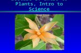 Lecture 1: Intro to Plants, Intro to Science
