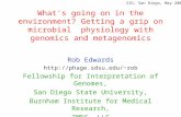 Rob Edwards phage.sdsu/~rob Fellowship for Interpretation of Genomes,