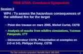 FIRE STAR, Conclusive Symposium