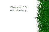 Chapter 10 vocabulary