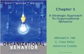A Strategic Approach To Organizational Behavior