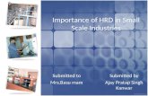 Importance of HRD in Small Scale Industries