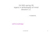 24.500 spring 05 topics in philosophy of mind  session 11