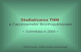 Stadializarea TNM a Carcinoamelor Bronhopulmonare