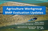 Agriculture Workgroup BMP Evaluation Updates