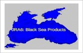 JRA6: Black Sea Products