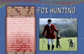 Home News Top Stories Illegal fox hunting 'not a priority' for police B y Bob Roberts 16/05/2009