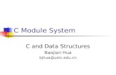 C Module System